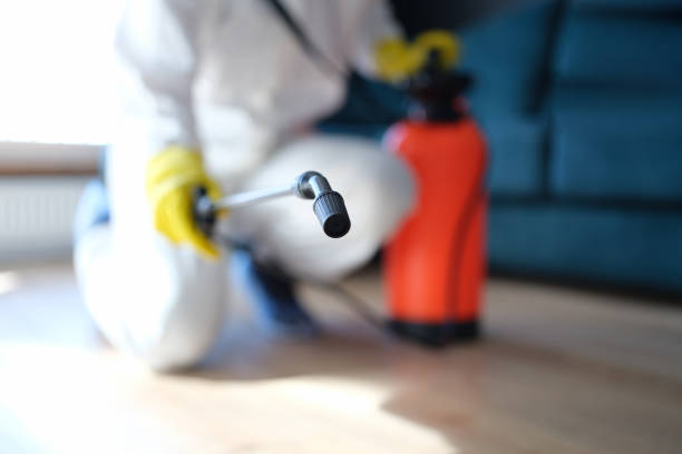  Murray, UT Mold Removal Pros