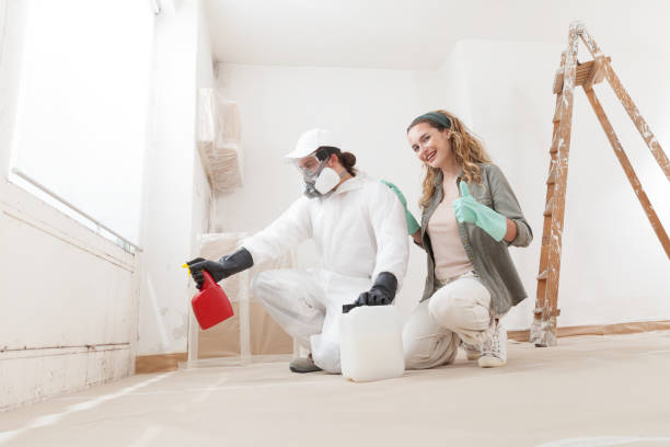 Mold Removal for HVAC Installations in Murray, UT